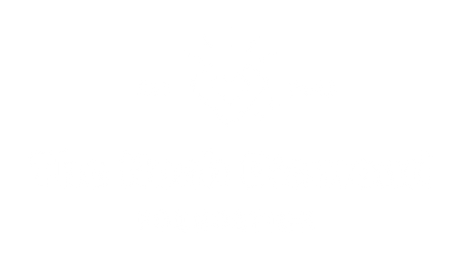 Noah-Diamond-Foundation-Logo-BW